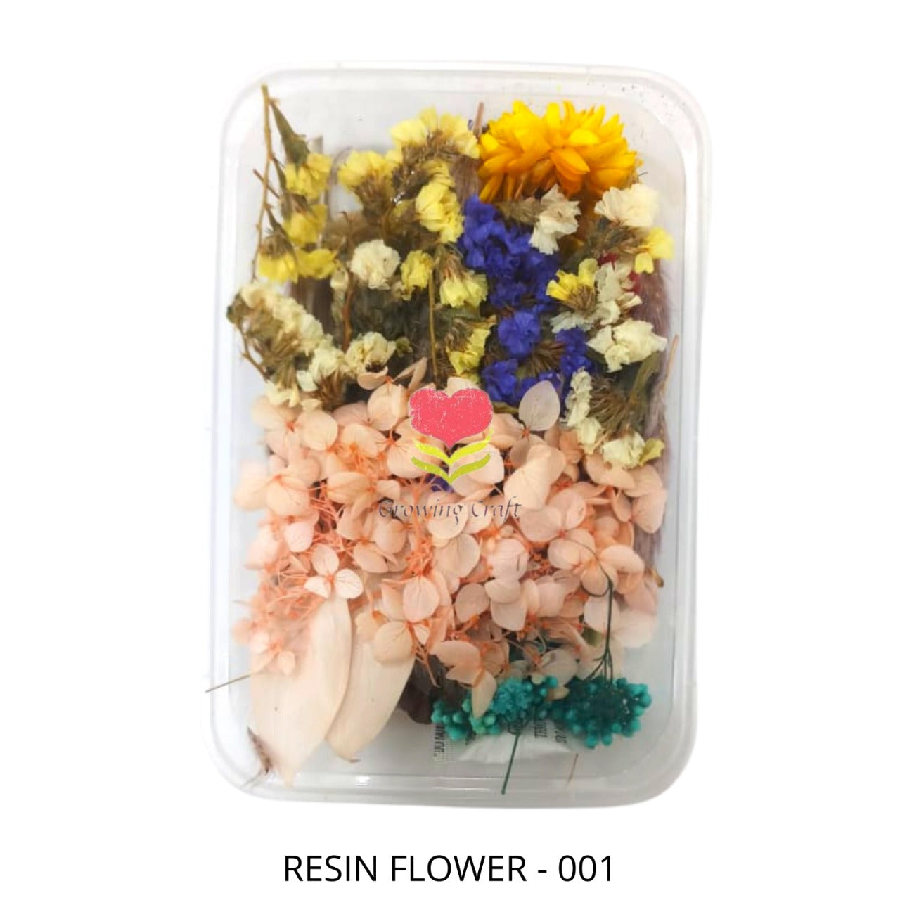 Dried Natural Flower - 001 - Growing Craft - Best craft Supplies