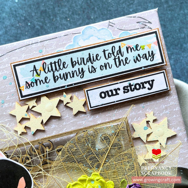 Mom to be - Pregnancy Scrapbook - The Nine Months