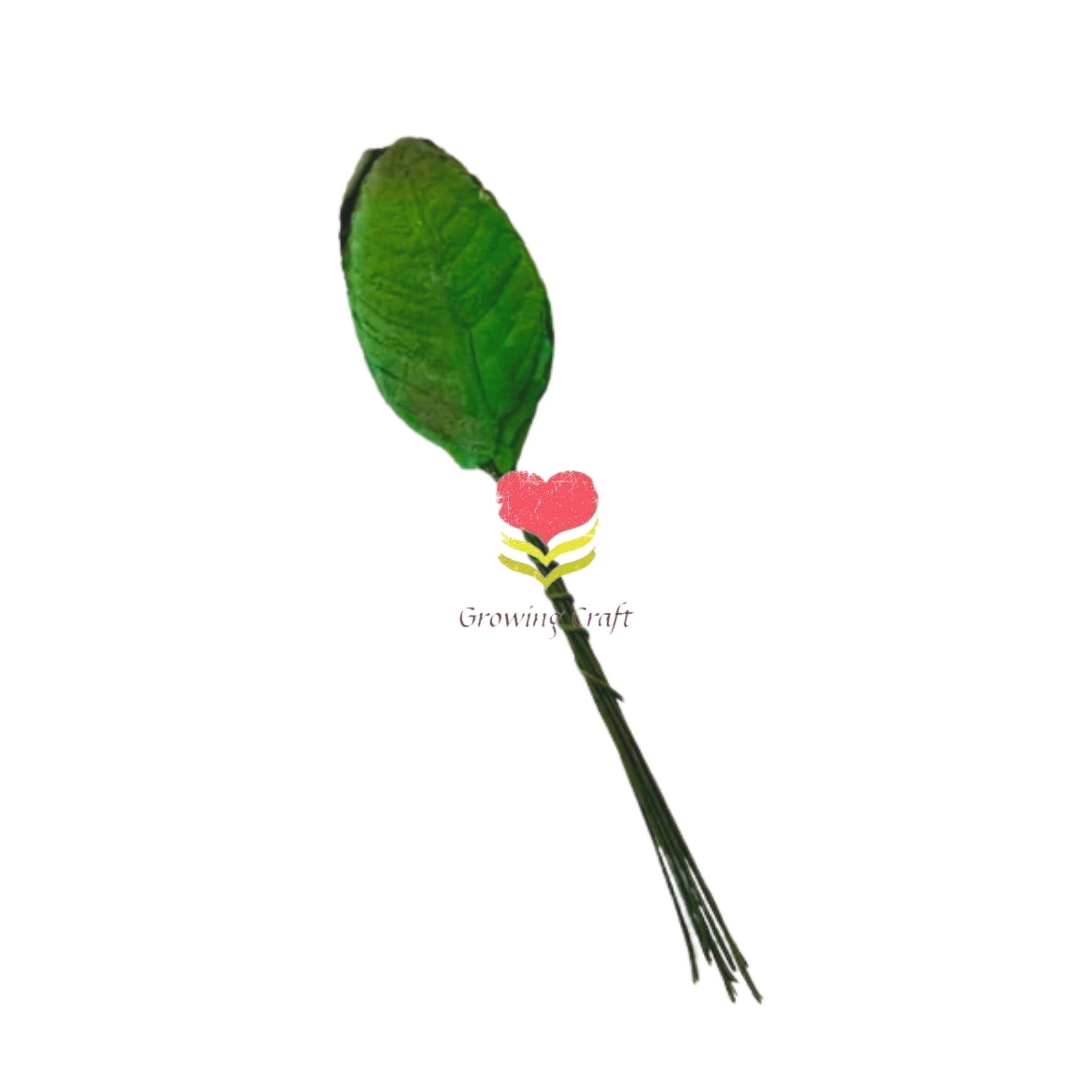 Leaf -  025 - Growing Craft - Best craft Supplies