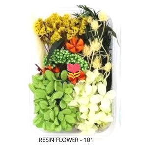 Dried Natural Flower - 101 - Growing Craft - Best craft Supplies