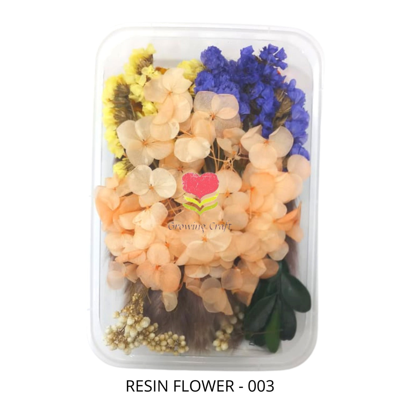 Dried Natural Flower - 003 - Growing Craft - Best craft Supplies