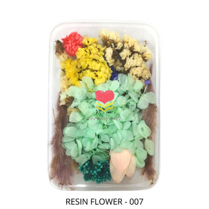 Dried Natural Flower - 007 - Growing Craft - Best craft Supplies