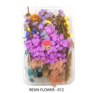 Dried Natural Flower - 012 - Growing Craft - Best craft Supplies